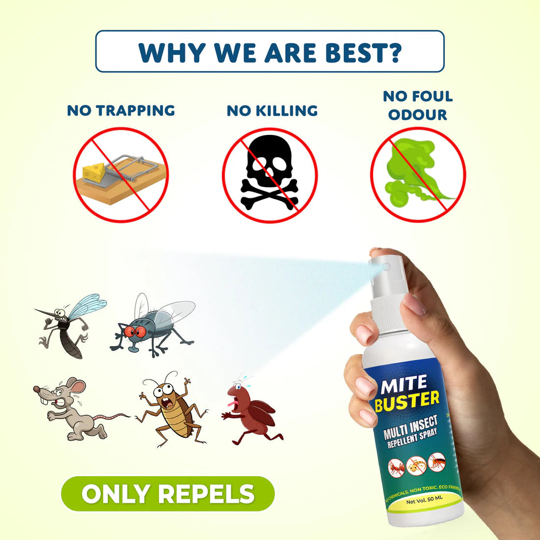 MitesBuster™ Spray – Ultimate Ant, Cockroach, Bed Bugs, Spider Repellent 🪲✨